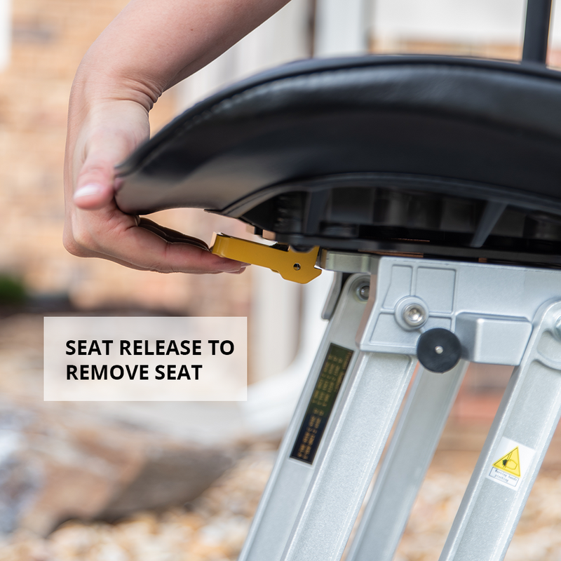 Load image into Gallery viewer, Golden Scooter - Buzzaround Carry On (GB120)
